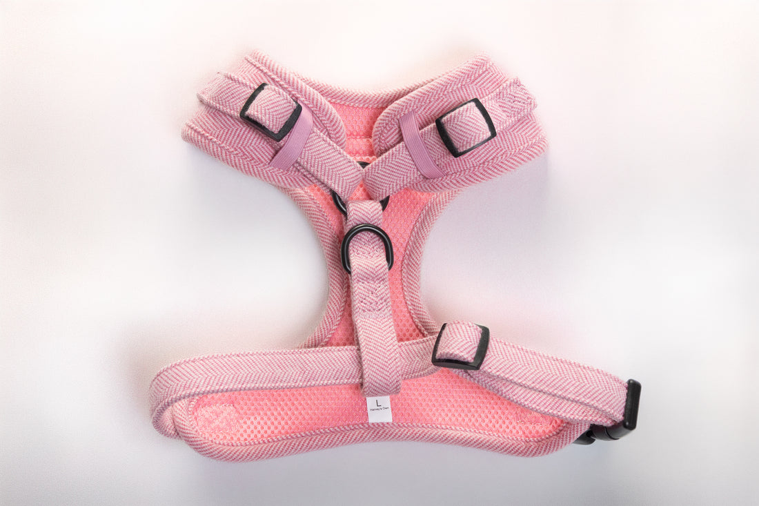 Alban Collection Pink Harness