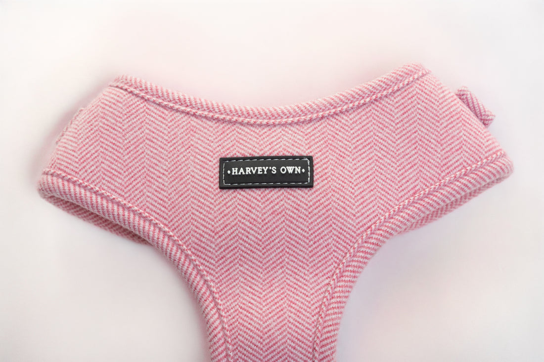 Alban Collection Pink Harness