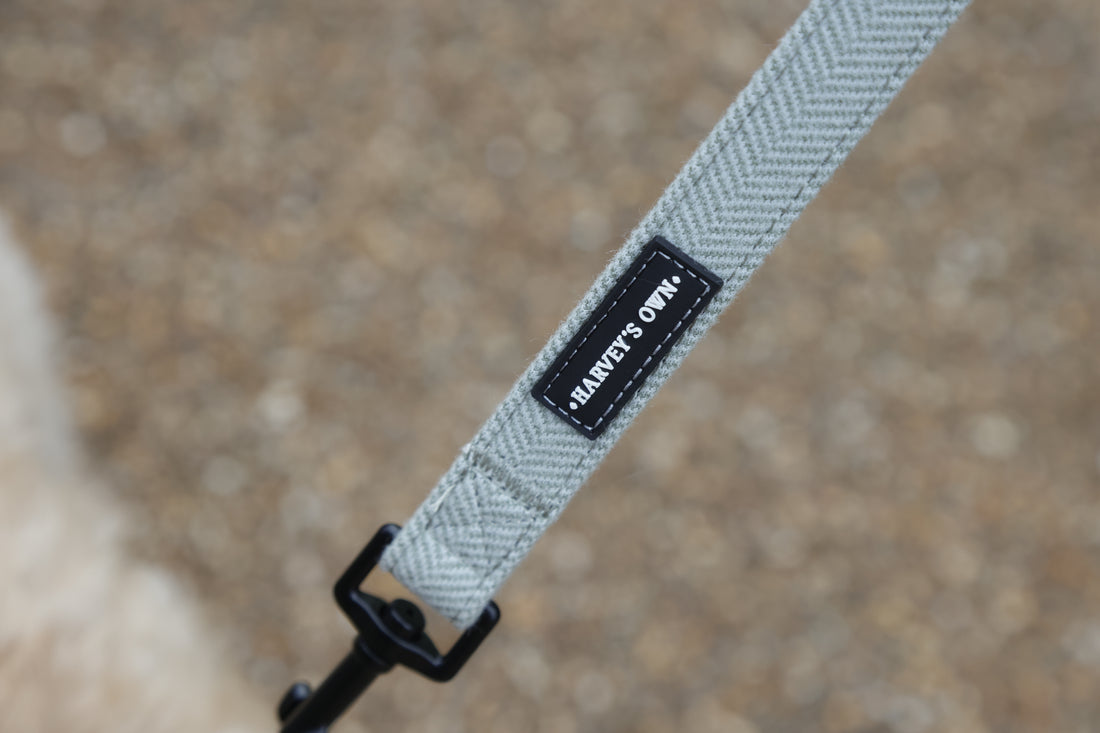 Alban Collection Light Green Lead